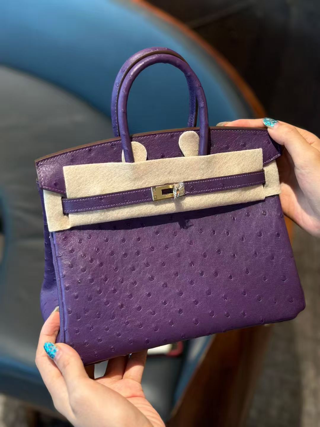 Birkin Ostrich skin Purple 25-35cm
