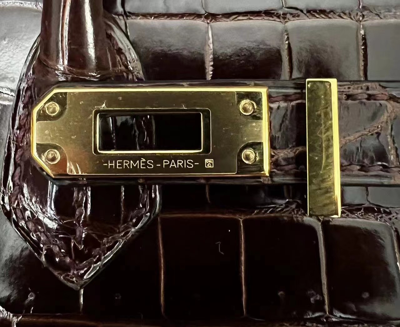 Crocodile skin #41 Havene Birkin 25-30cm