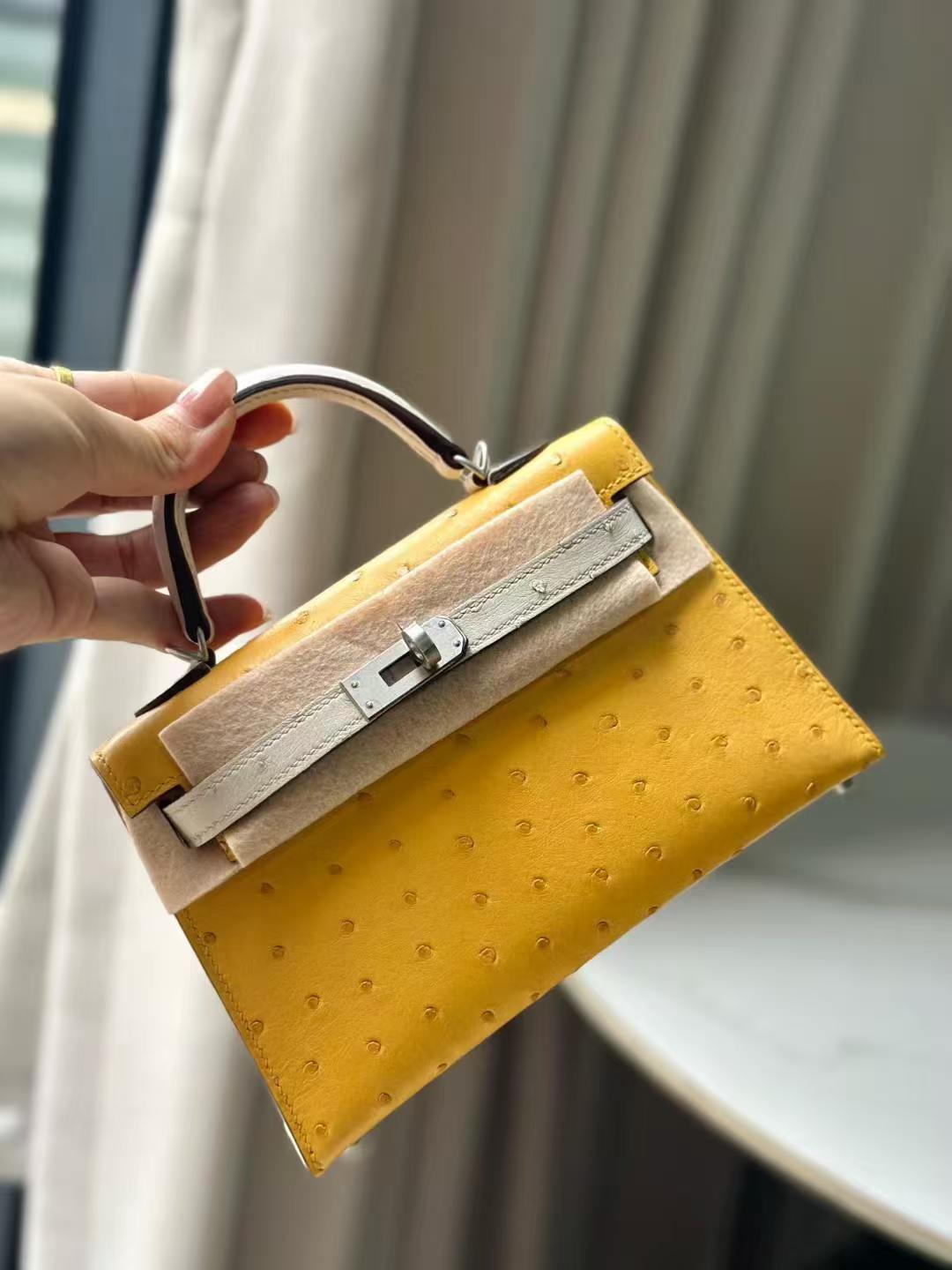 Hermes Mini Kelly Ostrich color blocking