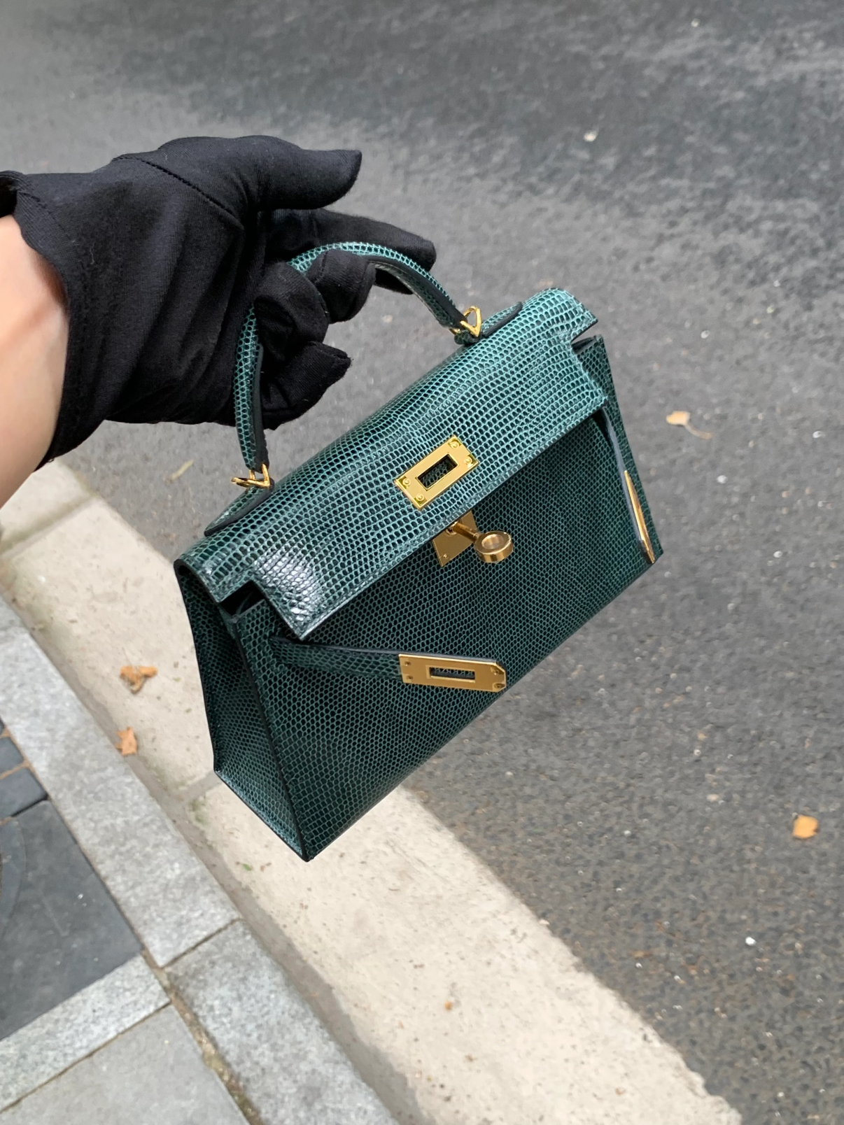 Lizard skin mini kelly #6O Vert Cypress