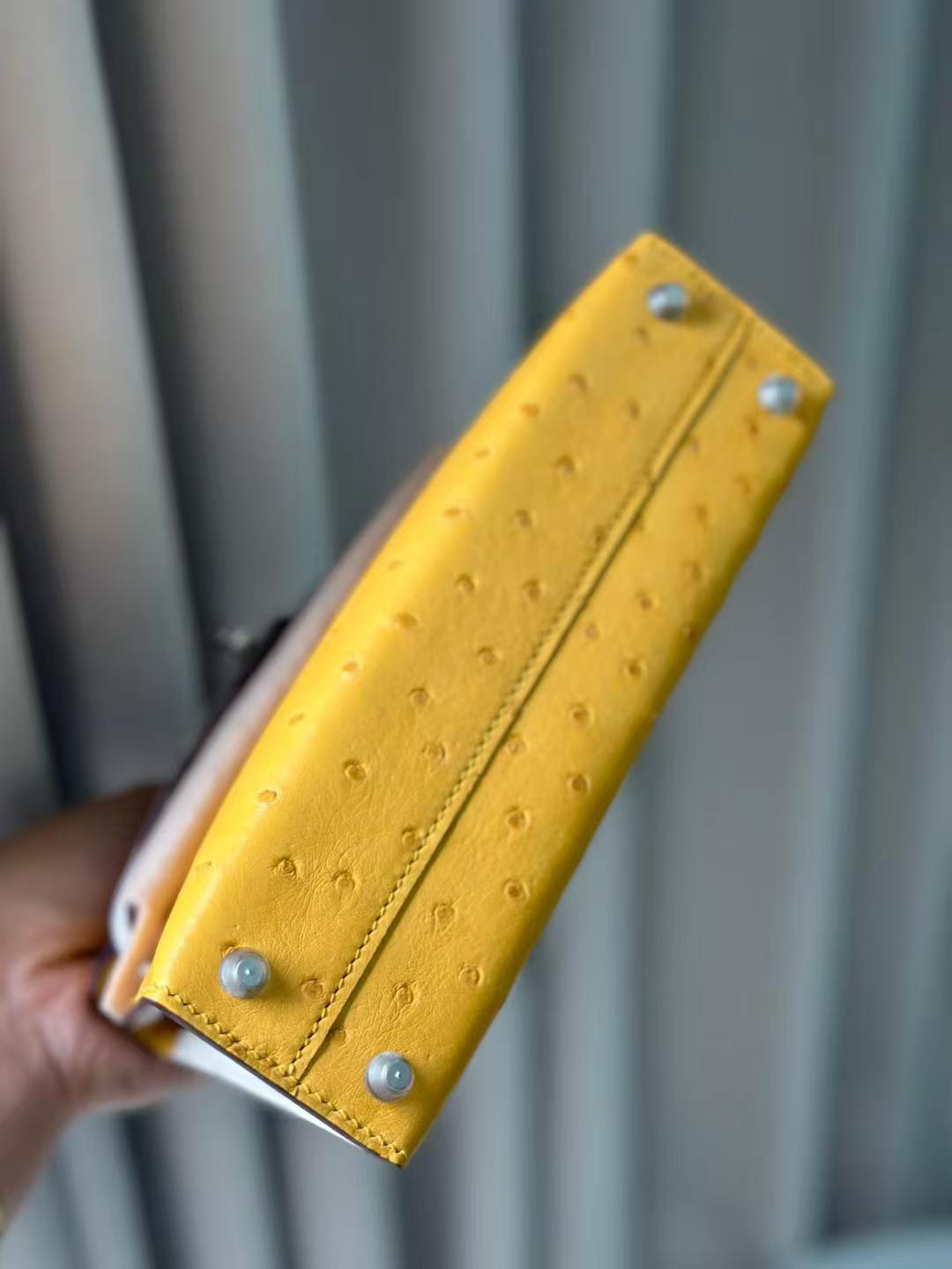 Hermes Mini Kelly Ostrich color blocking