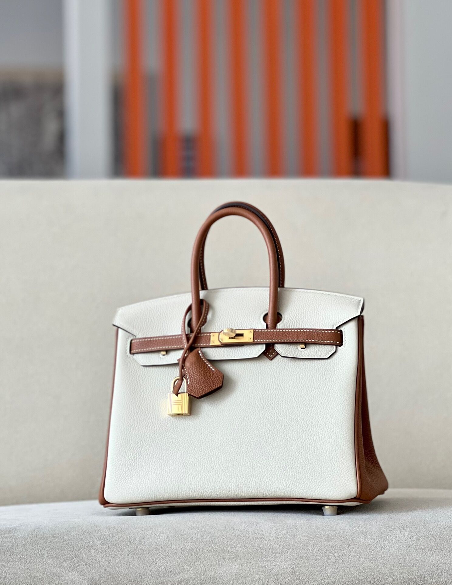 Hermes Birkin Color blocking 25-35cm TOGO