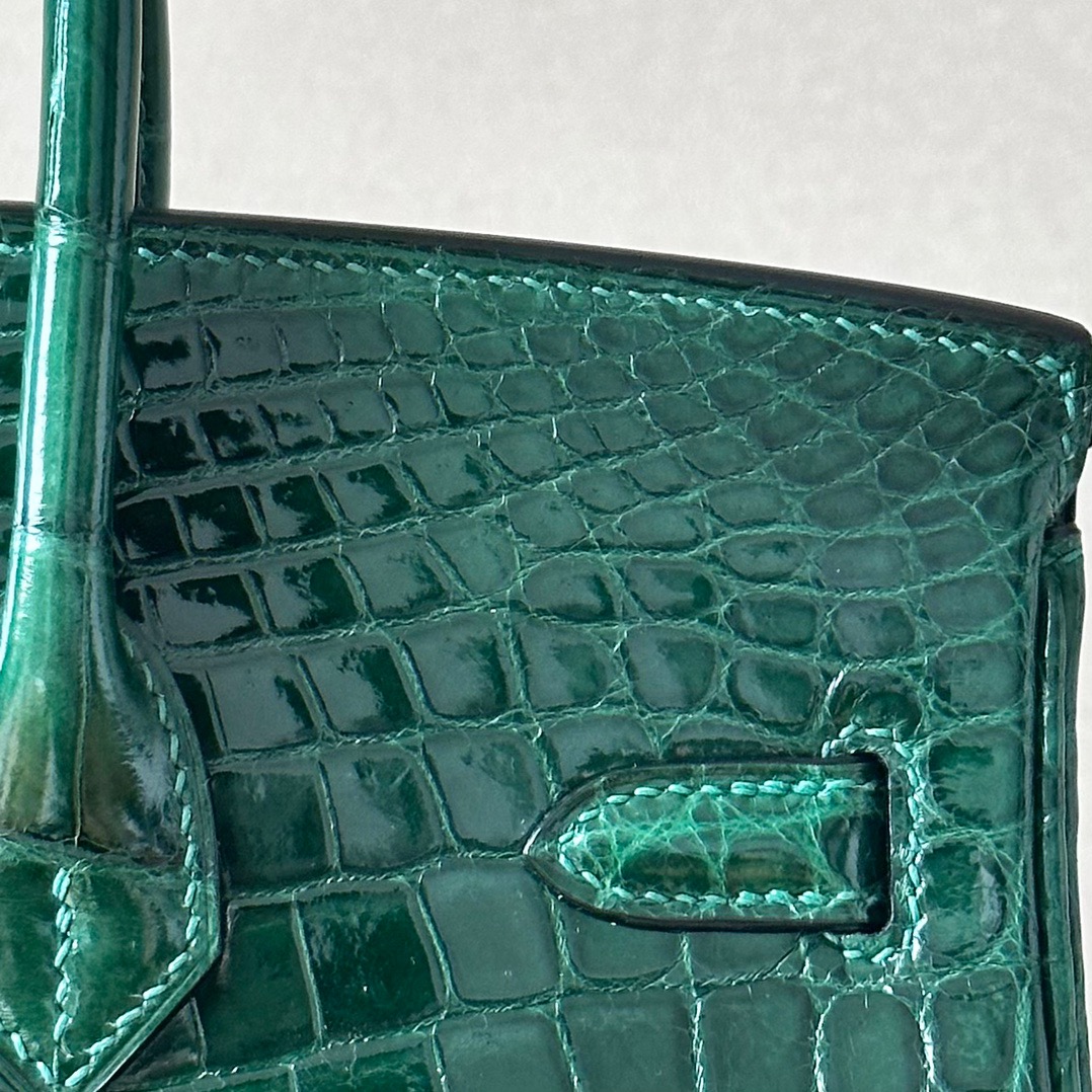 Advanced customization Birkin 25-30 crocodile skin crocodile skin