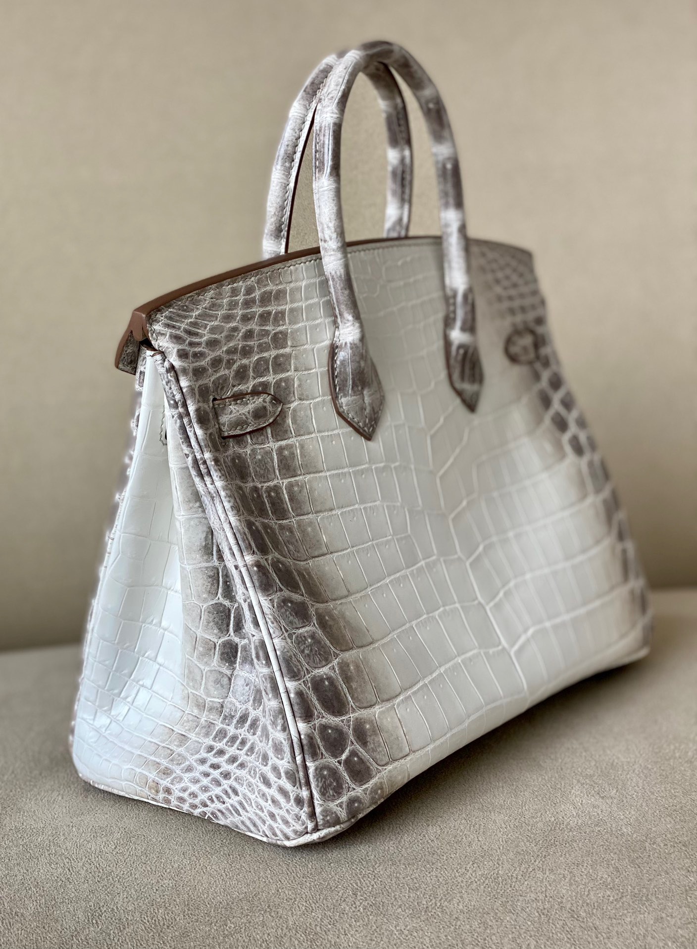 Crocodile skin Birkin Himalayan 25-35cm