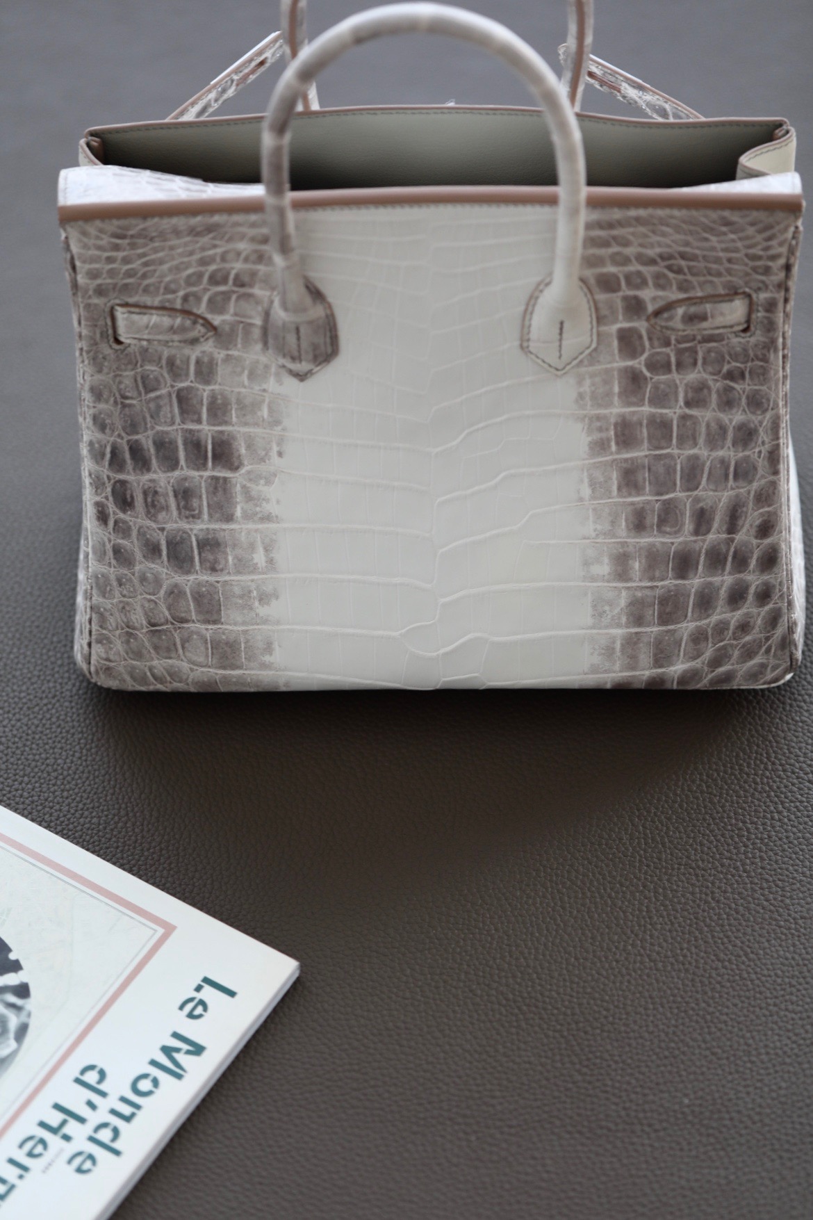 Crocodile skin Birkin Himalayan 25-35cm