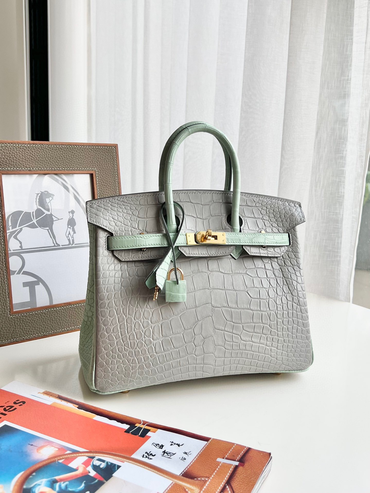 Crocodile leathercolor blocking Birkin 25-35cm