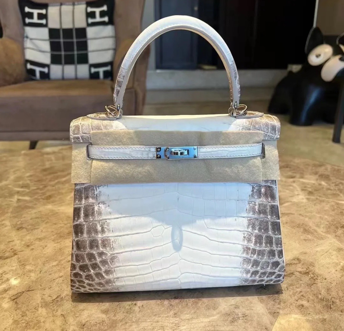 Crocodile skin Himalayan  25-28cm Sellier