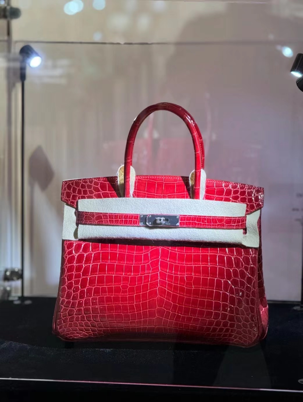 Crocodile skin #95 Braise Birkin 25-30cm