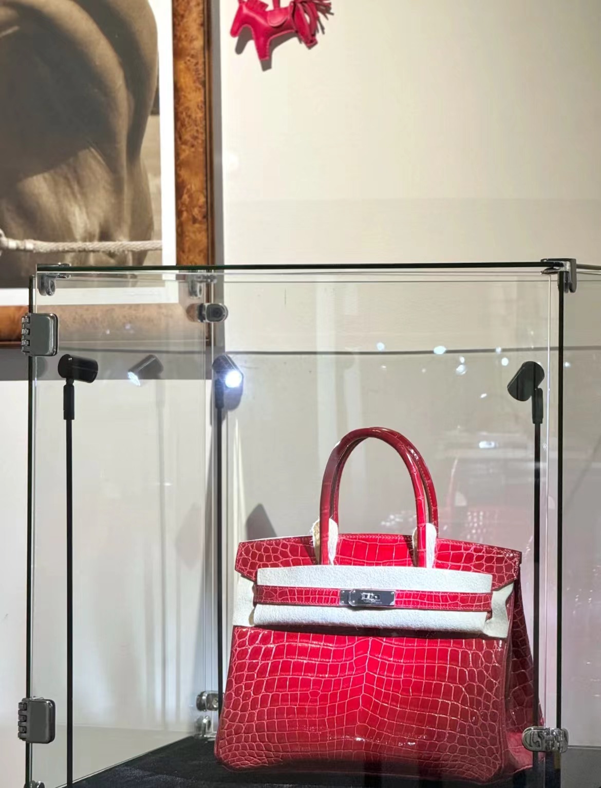 Crocodile skin #95 Braise Birkin 25-30cm