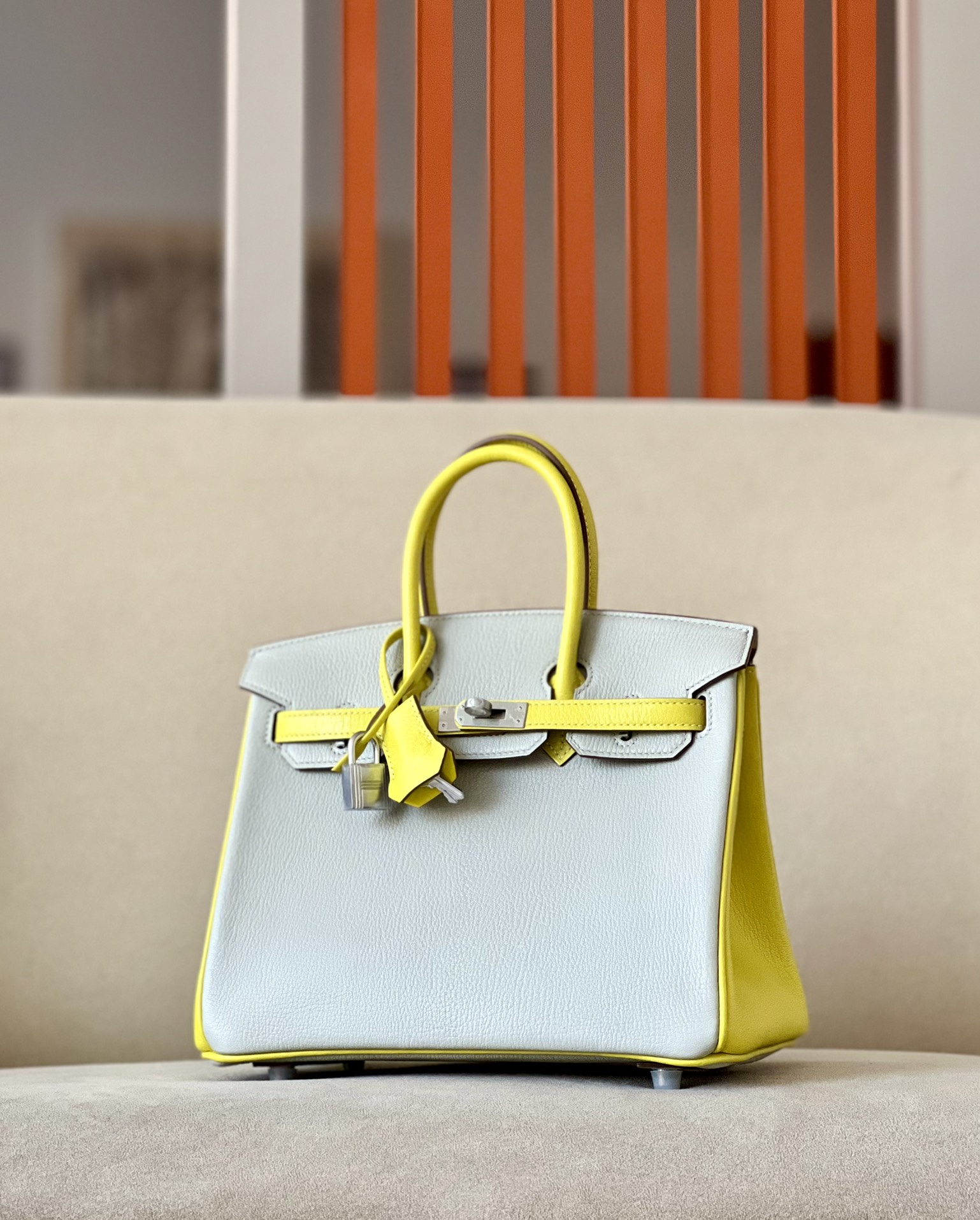 Hermes Birkin Color blocking 25-35cm Goatskin