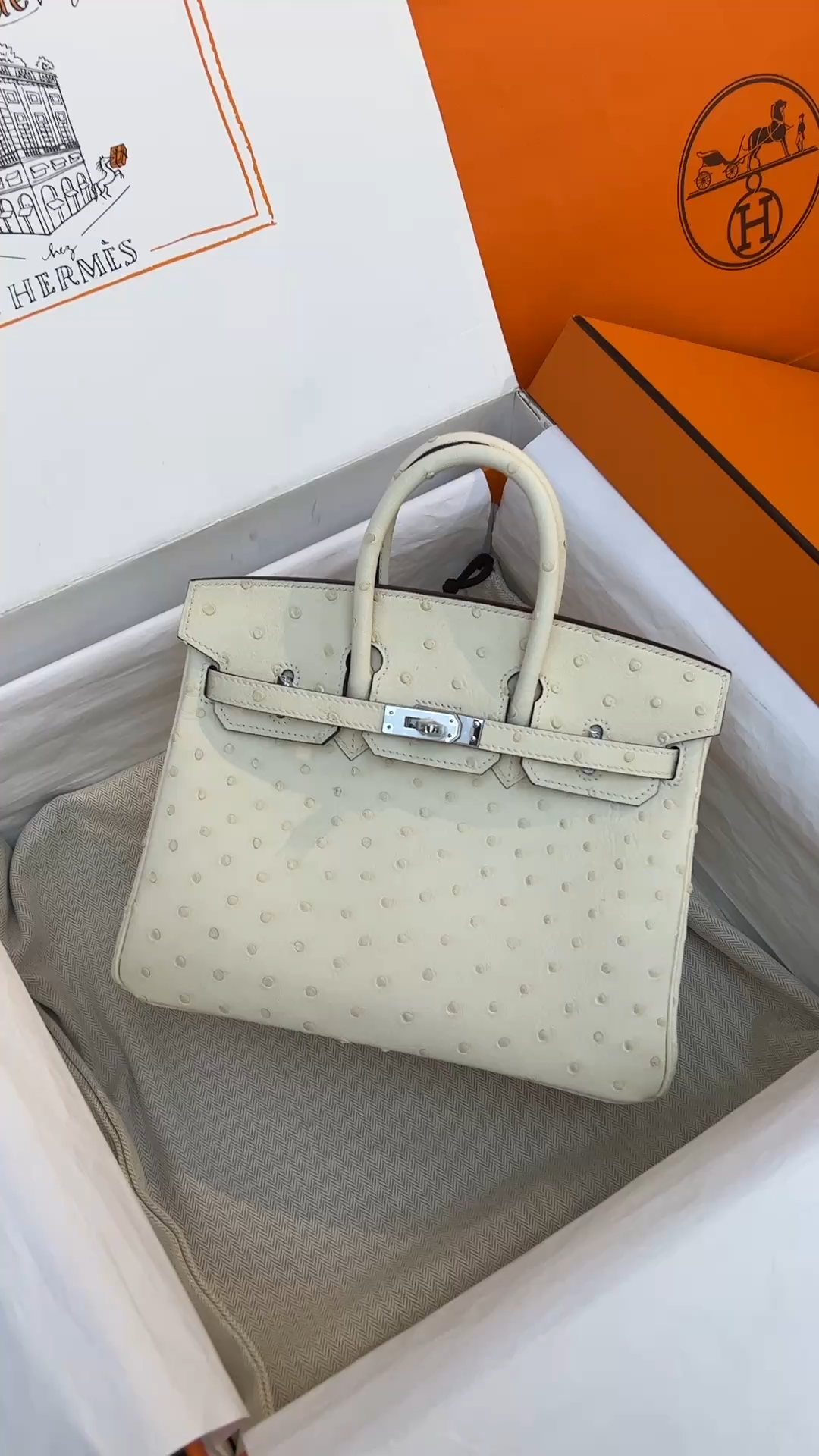 Birkin Ostrich skin #3C  25-35cm