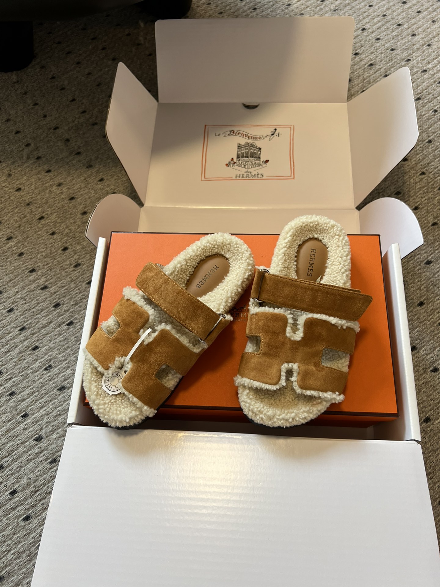 Hermes Kelly Flat shoes