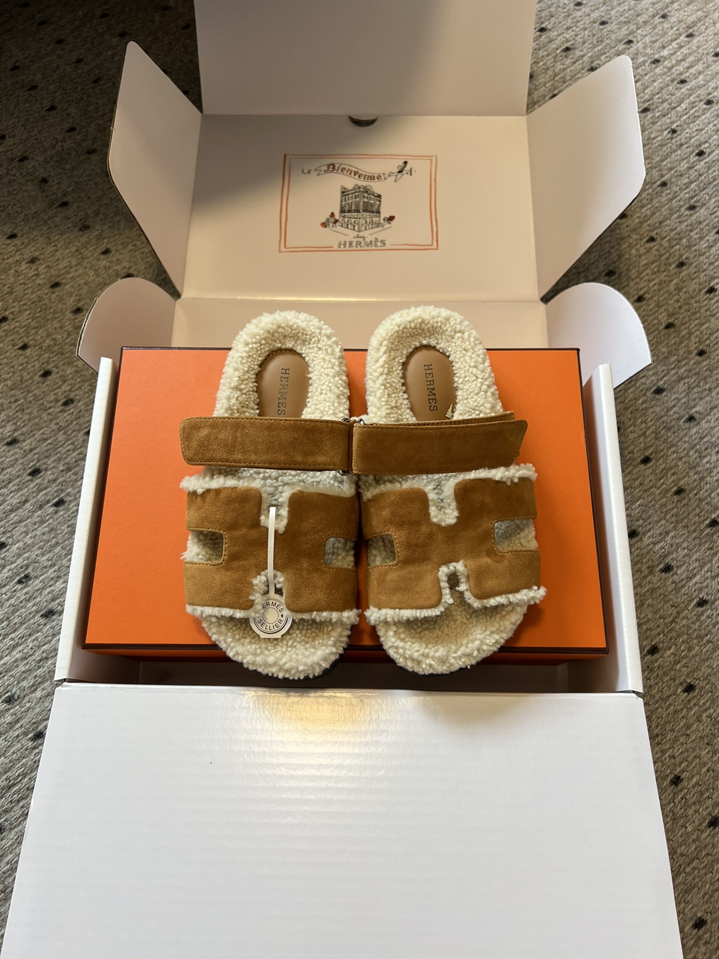 Hermes Kelly Flat shoes