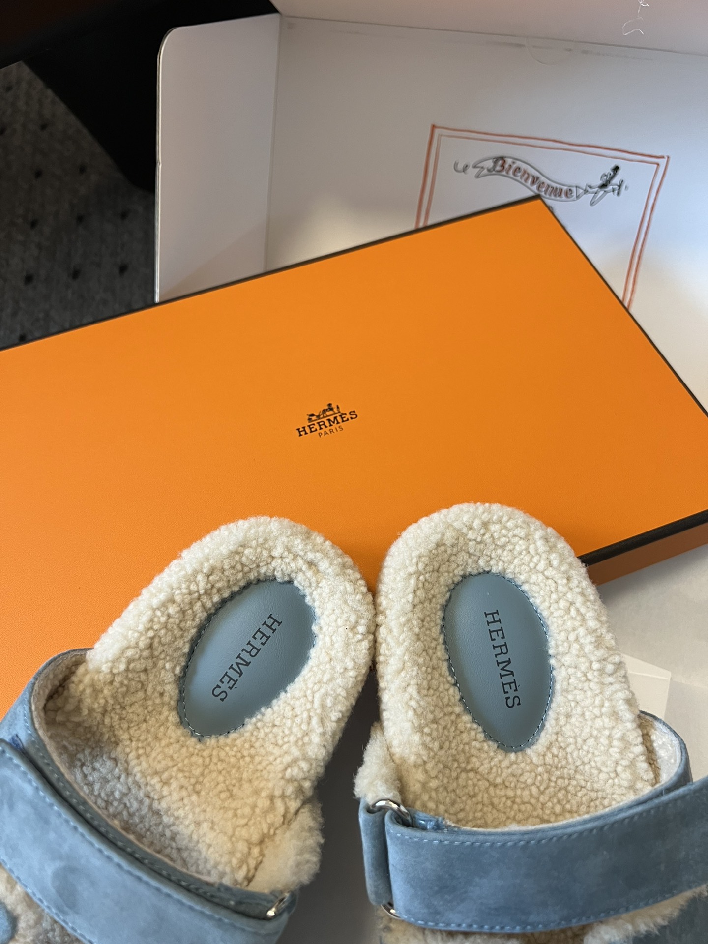 Hermes Kelly Flat shoes